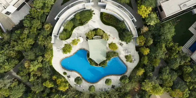 Forest lagoon from above