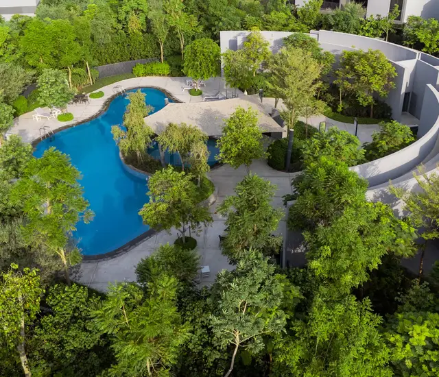 Community pool among the trees